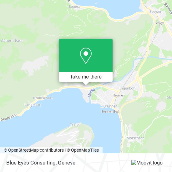 Blue Eyes Consulting map