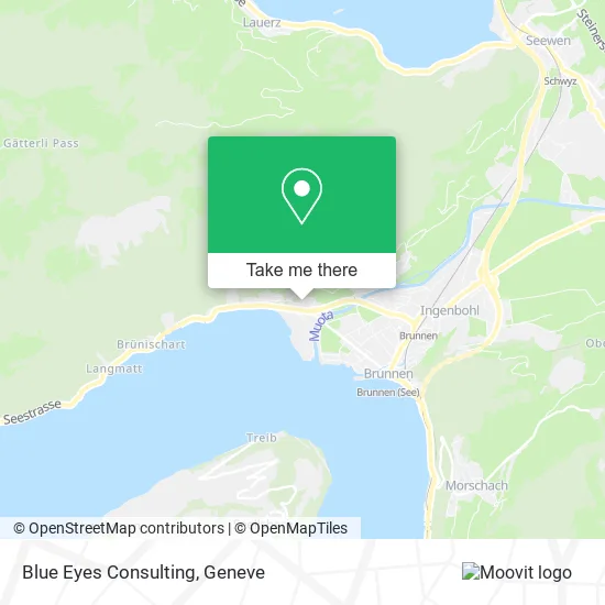 Blue Eyes Consulting map