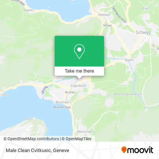 Male Clean Cvitkusic map