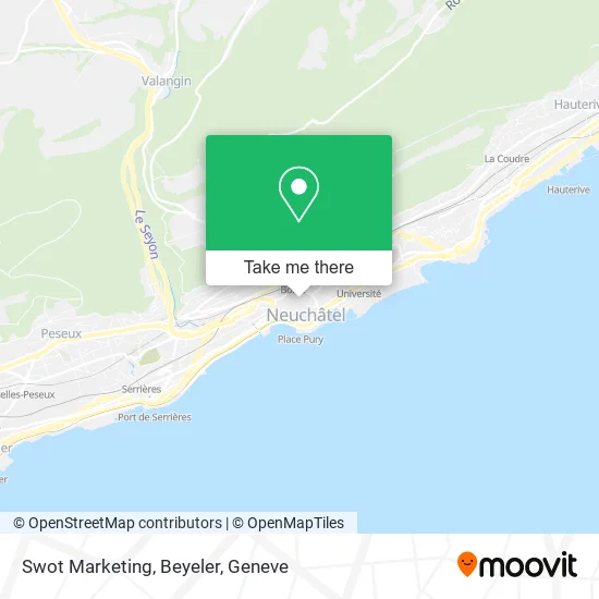 Swot Marketing, Beyeler map