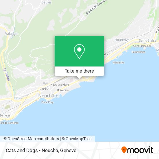 Cats and Dogs - Neucha map