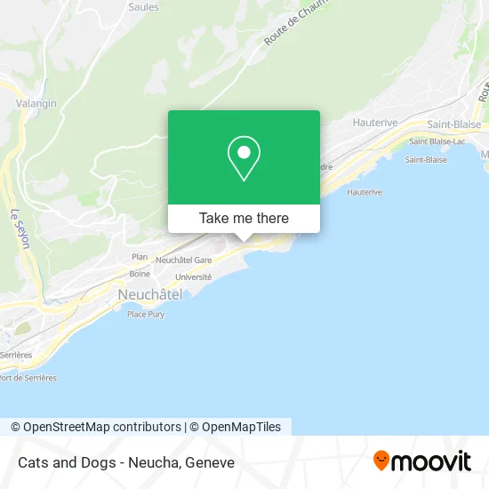 Cats and Dogs - Neucha map