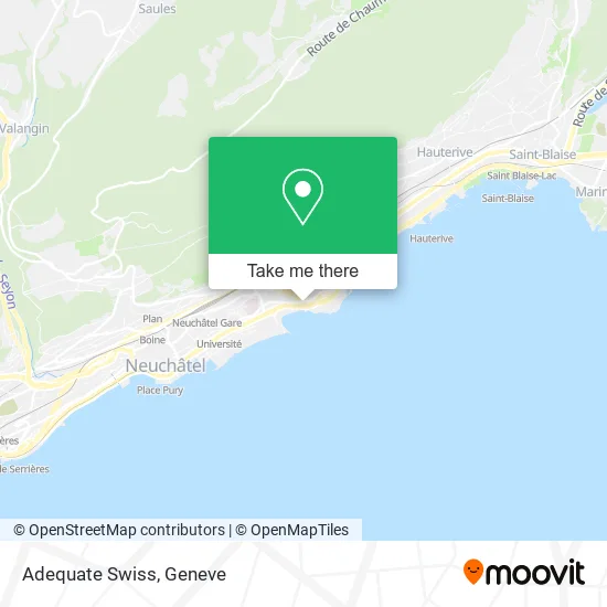 Adequate Swiss map