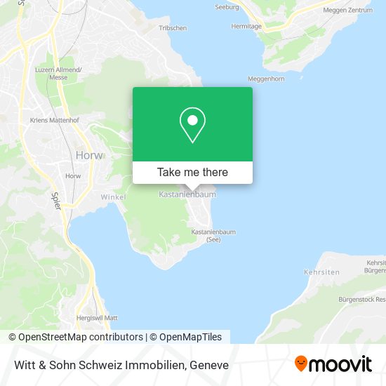 Witt & Sohn Schweiz Immobilien map