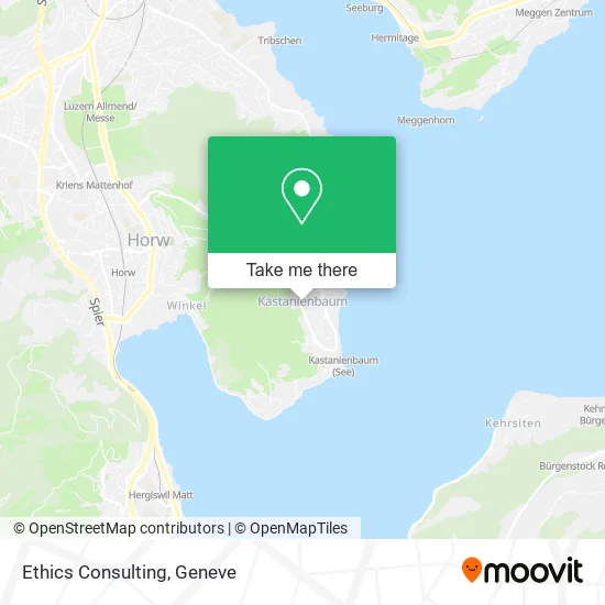 Ethics Consulting map