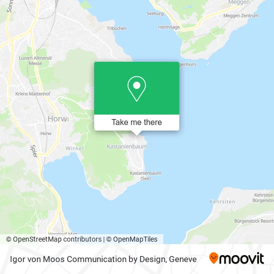 Igor von Moos Communication by Design plan