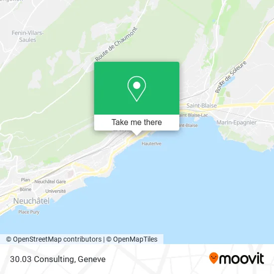 30.03 Consulting map