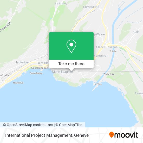 International Project Management map