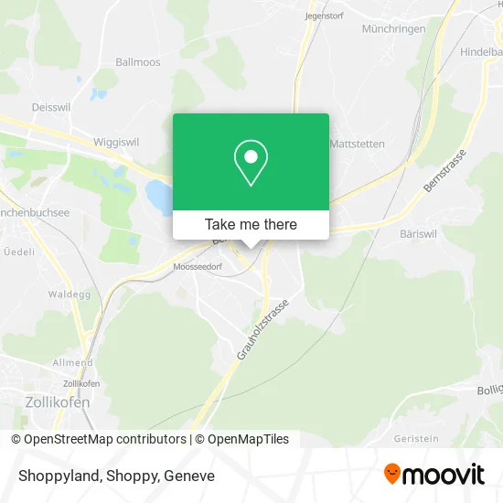 Shoppyland, Shoppy map