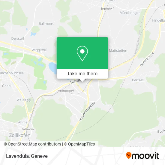 Lavendula map