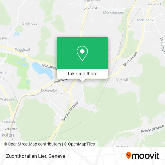 Zuchtkorallen Lier map