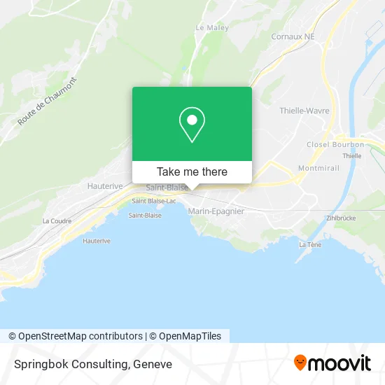 Springbok Consulting map