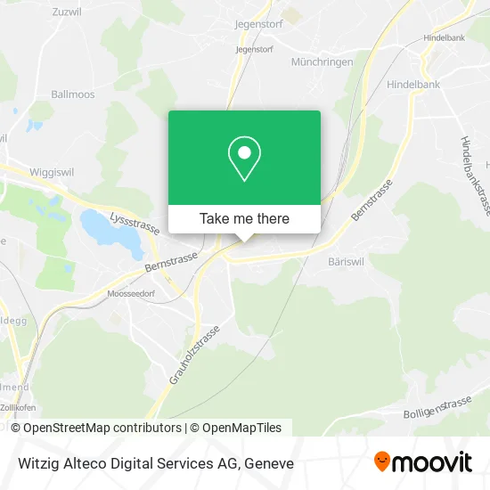 Witzig Alteco Digital Services AG map