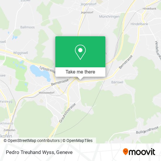 Pedro Treuhand Wyss map