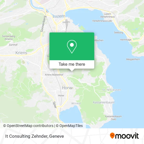 It Consulting Zehnder plan
