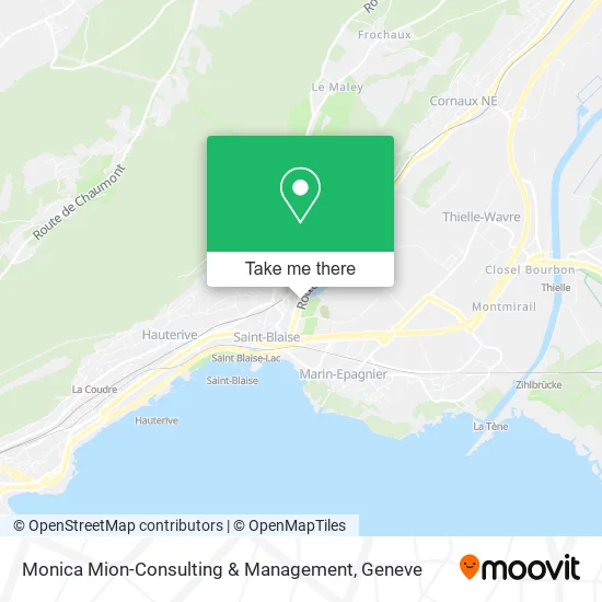 Monica Mion-Consulting & Management map