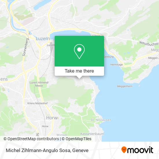 Michel Zihlmann-Angulo Sosa map