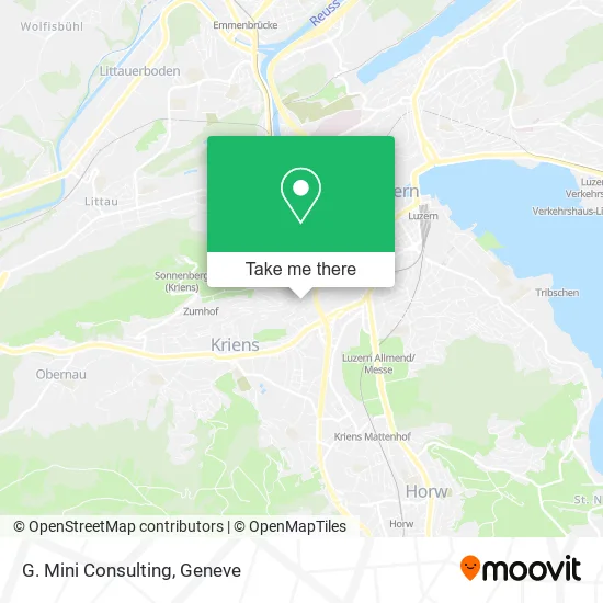 G. Mini Consulting map