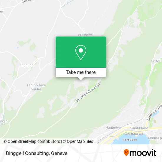 Binggeli Consulting map