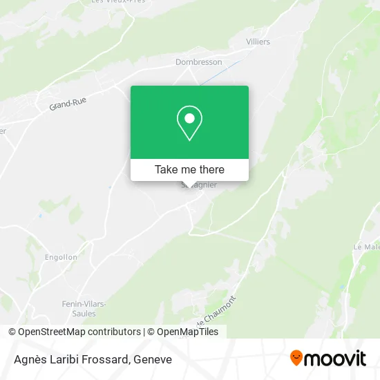 Agnès Laribi Frossard map