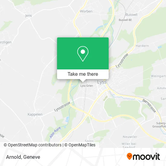 Arnold map