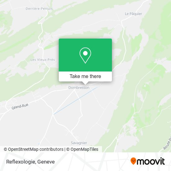 Reflexologie map