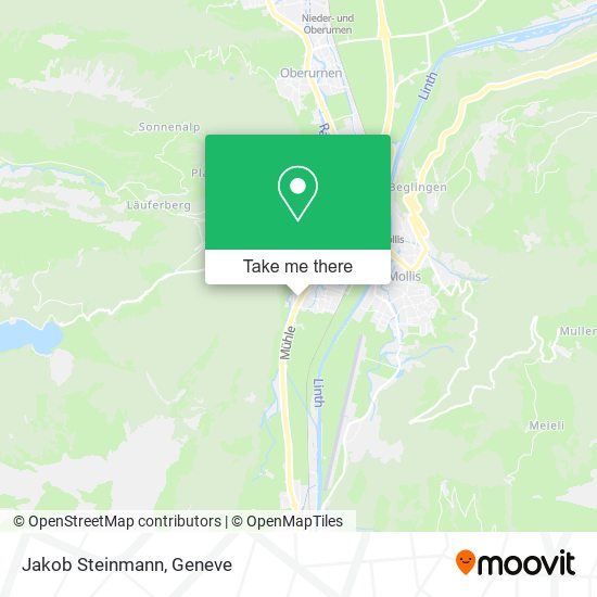 Jakob Steinmann map