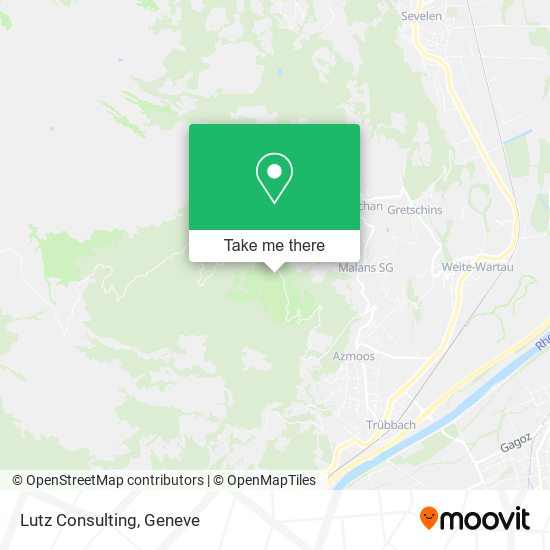 Lutz Consulting map