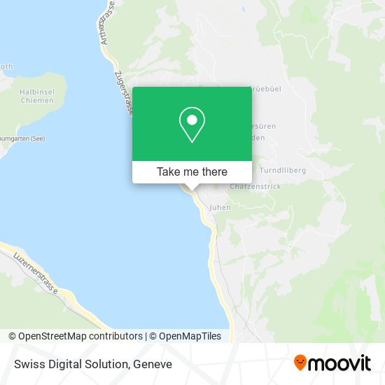Swiss Digital Solution map