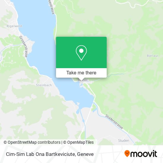 Cim-Sim Lab Ona Bartkeviciute map