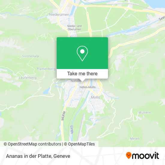 Ananas in der Platte map