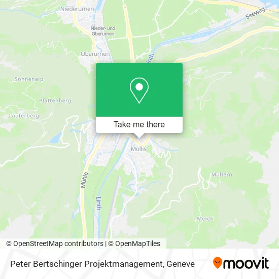 Peter Bertschinger Projektmanagement map