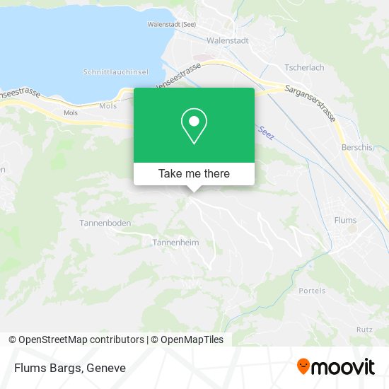 Flums Bargs map