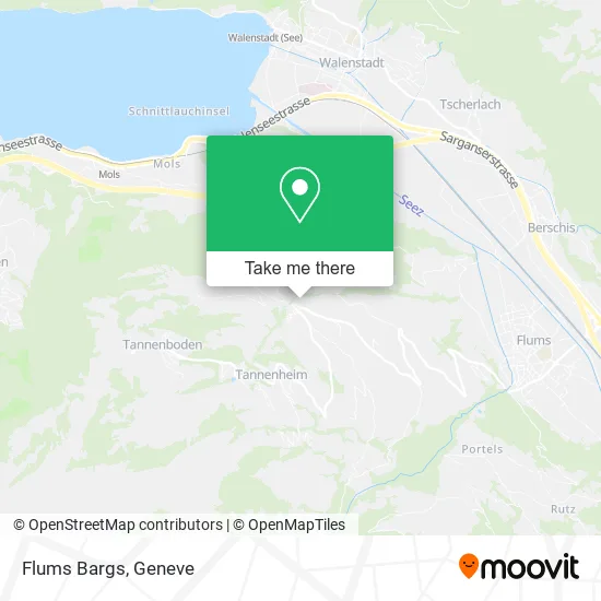 Flums Bargs map