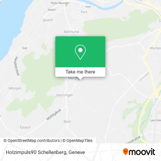 Holzimpuls90 Schellenberg map