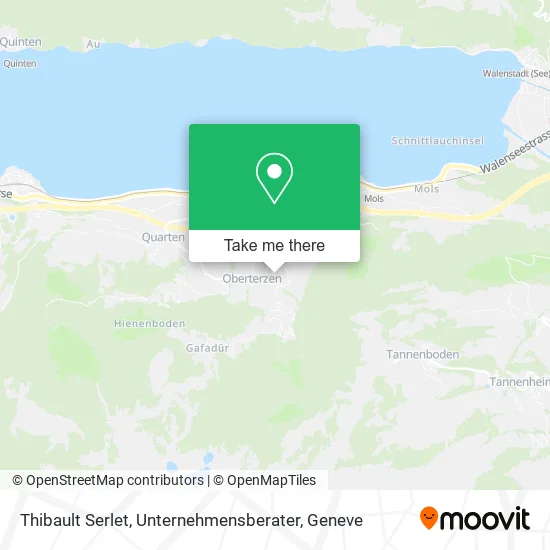 Thibault Serlet, Unternehmensberater map