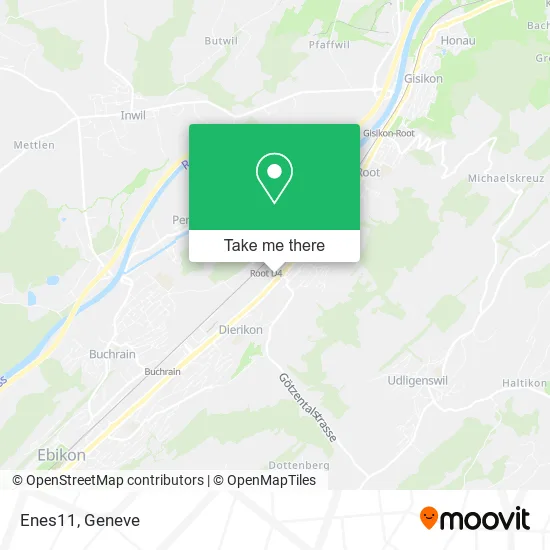 Enes11 map