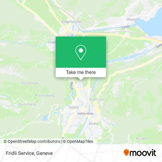 Fridli Service map