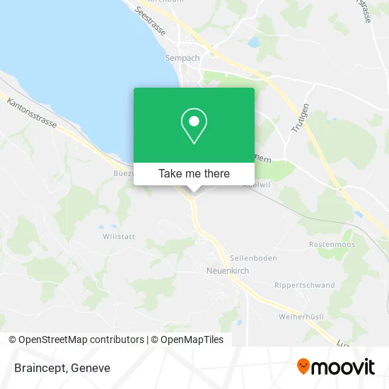 Braincept map