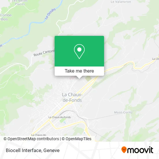 Biocell Interface plan