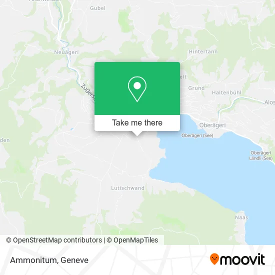 Ammonitum map
