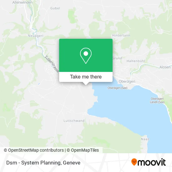 Dsm - System Planning map