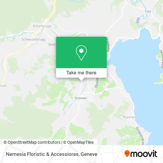 Nemesia Floristic & Accessiores map