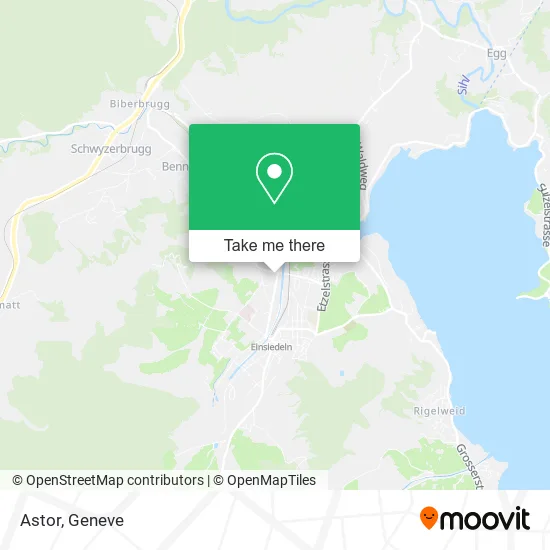 Astor map