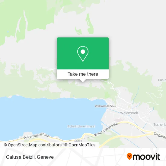 Calusa Beizli map