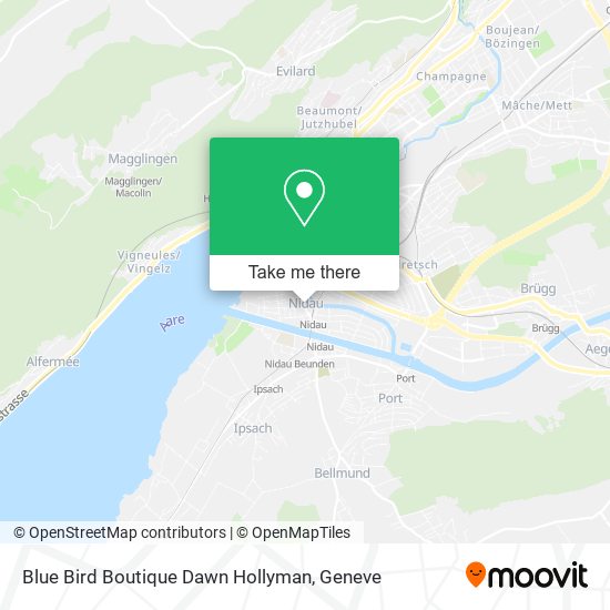 Blue Bird Boutique Dawn Hollyman map