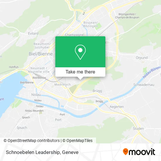 Schnoebelen Leadership map