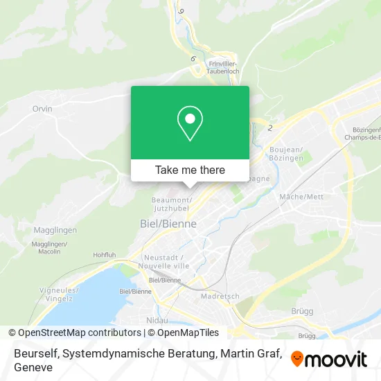 Beurself, Systemdynamische Beratung, Martin Graf plan