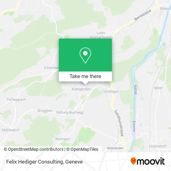 Felix Hediger Consulting plan