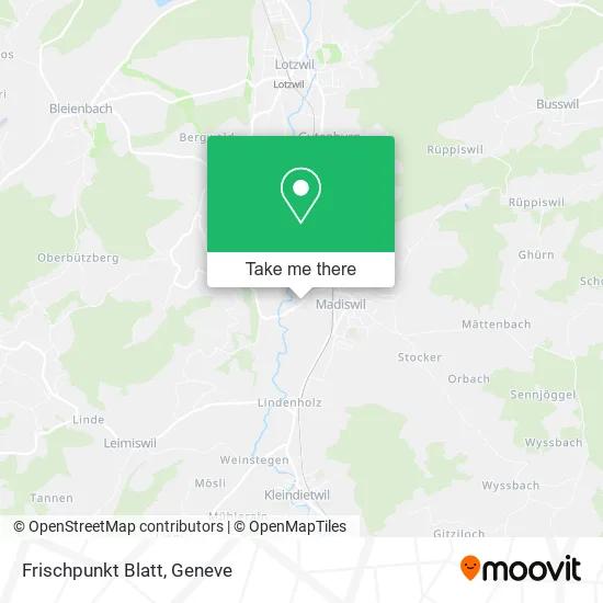 Frischpunkt Blatt plan